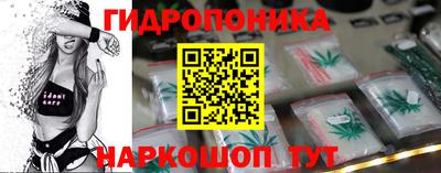 крисы Донецк
