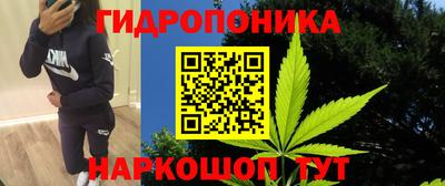 прущие грибы Донской