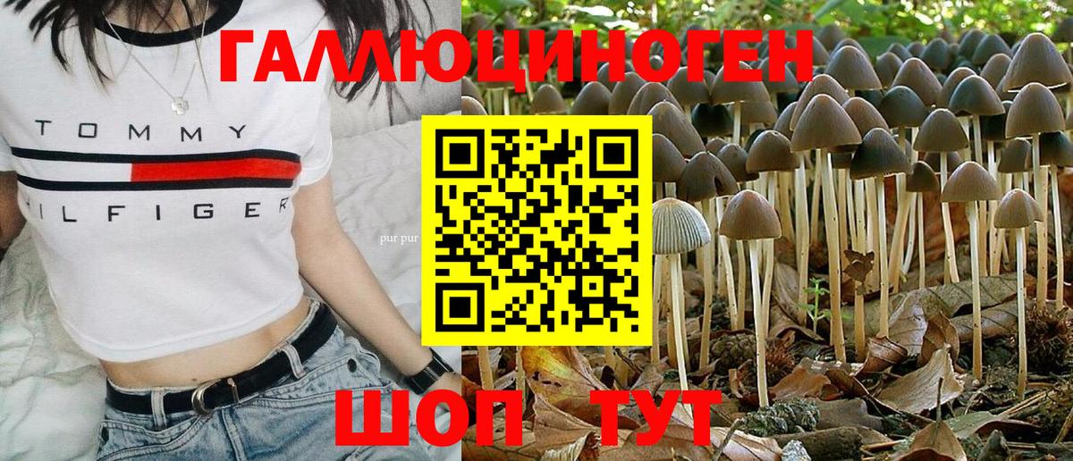 Псилоцибиновые грибы мухоморы  Вход с VPN  Назрань 